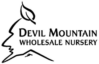 DEVIL MOUNTAIN WHOLESALE NURSERY