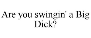 ARE YOU SWINGIN' A BIG DICK?