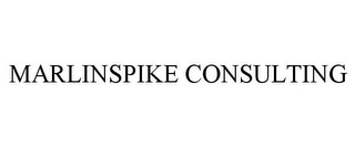 MARLINSPIKE CONSULTING