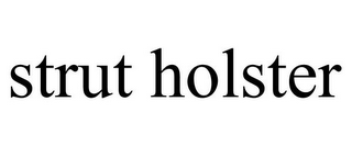 STRUT HOLSTER