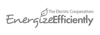 THE ELECTRIC COOPERATIVES ENERGIZEEFFICIENTLY