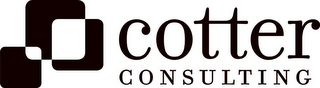 COTTER CONSULTING