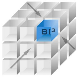 BI3