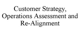 CUSTOMER STRATEGY, OPERATIONS ASSESSMENT AND RE-ALIGNMENT