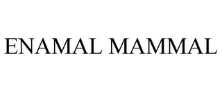 ENAMAL MAMMAL