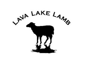 LAVA LAKE LAMB