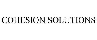 COHESION SOLUTIONS