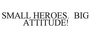 SMALL HEROES. BIG ATTITUDE!