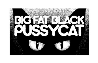 BIG FAT BLACK PUSSYCAT