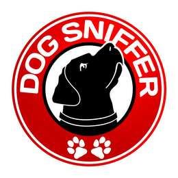 DOG SNIFFER