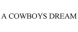 A COWBOYS DREAM