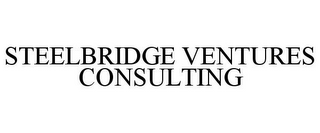 STEELBRIDGE VENTURES CONSULTING