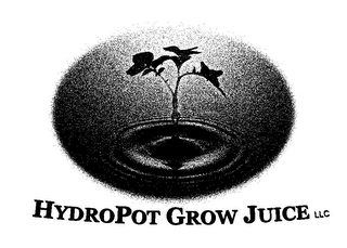 HYDROPOT GROW JUICE LLC