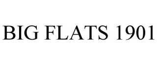 BIG FLATS 1901