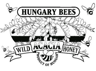 HUNGARY BEES WILD ACACIA HONEY PRODUCT OF HUNGARY