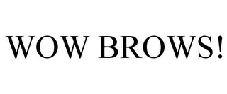 WOW BROWS!