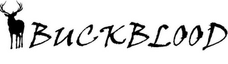 BUCK BLOOD