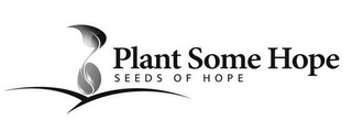 PLANT SOME HOPE SEEDS OF HOPE