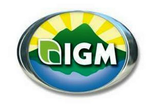 IGM