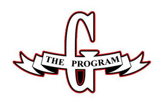 G THE PROGRAM