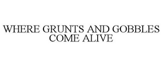 WHERE GRUNTS AND GOBBLES COME ALIVE