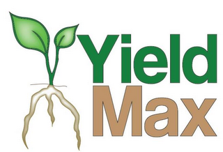 YIELD MAX