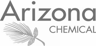 ARIZONA CHEMICAL