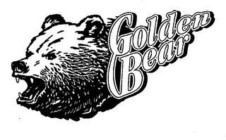 GOLDEN BEAR