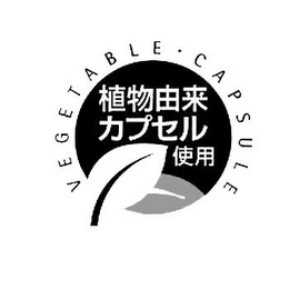 VEGETABLE CAPSULE