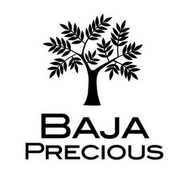 BAJA PRECIOUS