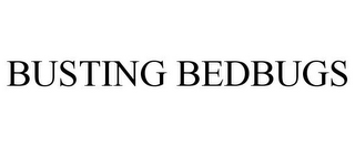 BUSTING BEDBUGS