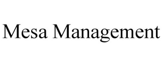 MESA MANAGEMENT
