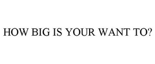 HOW BIG IS YOUR WANT TO?