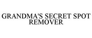 GRANDMA'S SECRET SPOT REMOVER