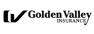 GOLDEN VALLEY INSURANCE