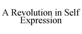 A REVOLUTION IN SELF EXPRESSION