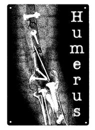 HUMERUS