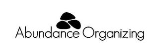 ABUNDANCE ORGANIZING