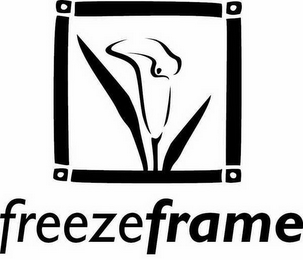 FREEZEFRAME