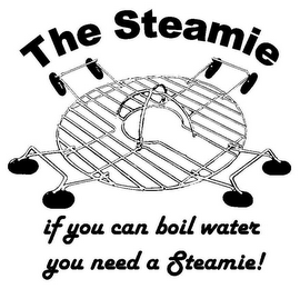 THE STEAMIE IF YOU CAN BOIL WATER YOU NEED A STEAMIE!