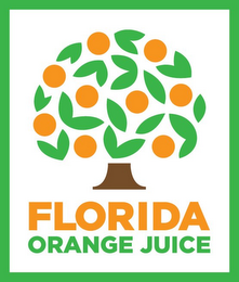 FLORIDA ORANGE JUICE