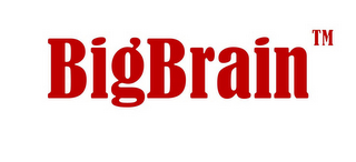 BIGBRAIN