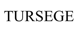 TURSEGE