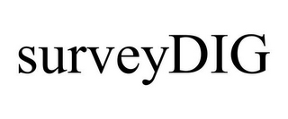 SURVEYDIG