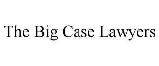 THE BIG CASE LAWYERS