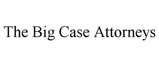 THE BIG CASE ATTORNEYS