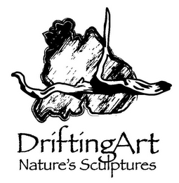 DRIFTING ART NATURE'S SCULPTURES