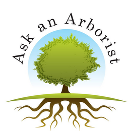 ASK AN ARBORIST