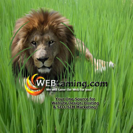 WEBTAMING.COM WE WILL TAME THE WEB FOR YOU! YOUR ONE-SOURCE FOR WEBSITE DESIGN/HOSTING & SEO/SIM MARKETING!