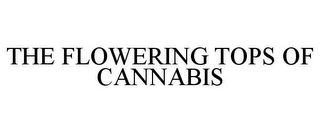 THE FLOWERING TOPS OF CANNABIS